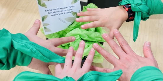 PersiVERDANT Thursday